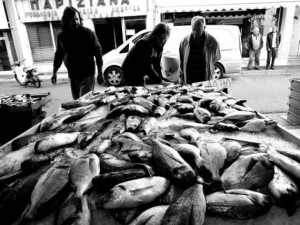 Φωτογραφία από ιχθυοπωλείο στην οδό Θυσίας σε μαυρόασπρο φιλμ, από το blog του Νίκου Γ. Μαστροπαύλου «Τόπων Γεύση».