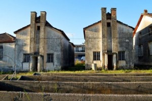 Καπνικός Σταθμός Έρευνας  φωτό : Σπυριδούλα Πυρπύλη